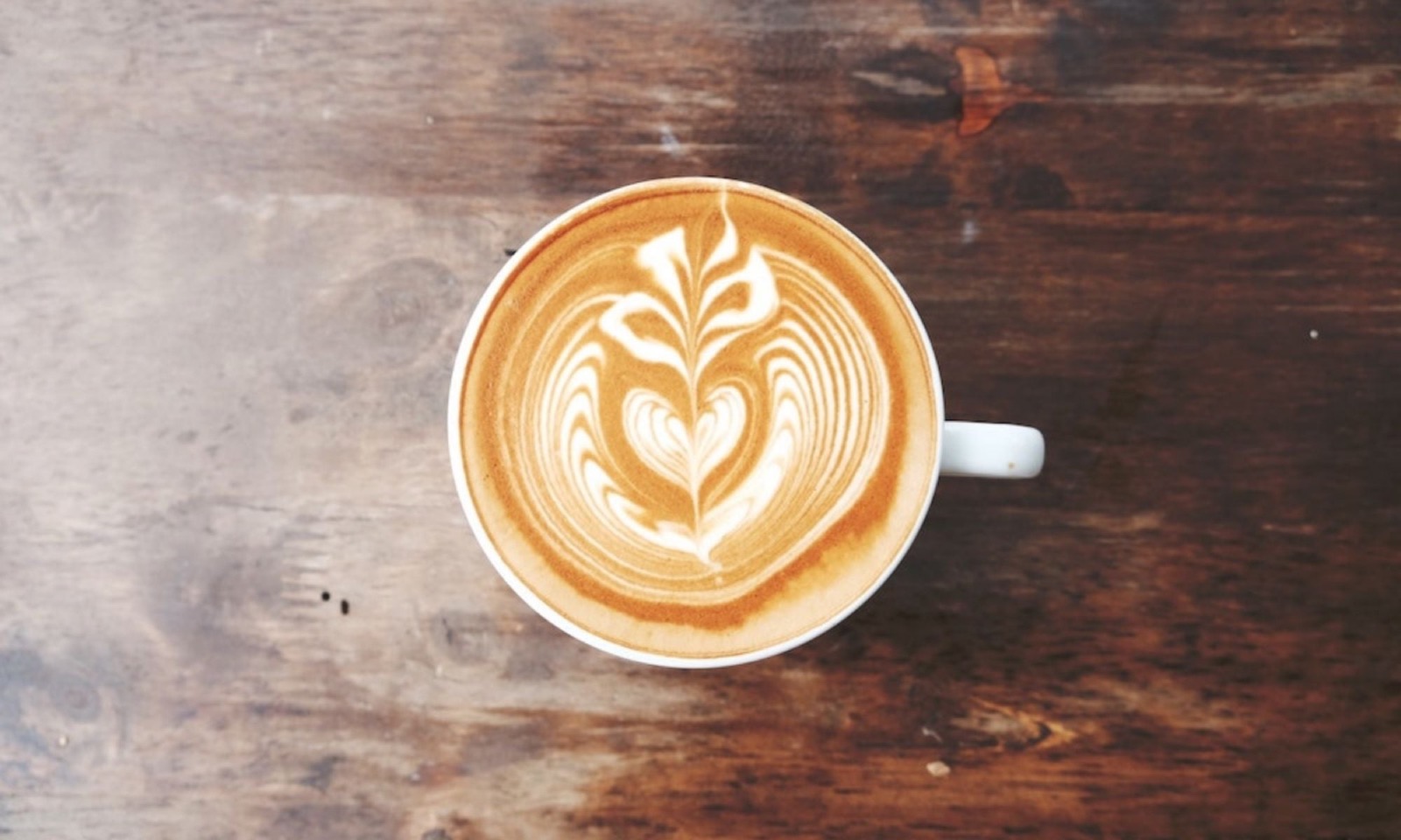 Premium Easy Latte